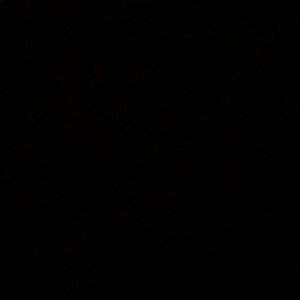 Meet your Posher, Alexandre